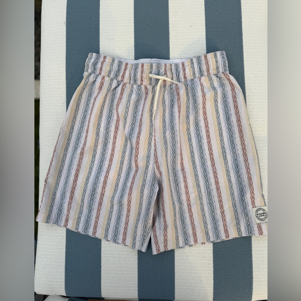 Abercrombie Kids Multicolor Striped Swim Trunks